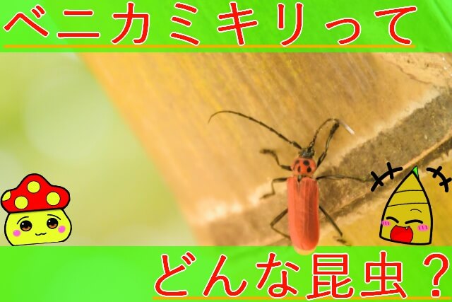 Thumbnail of post image 013